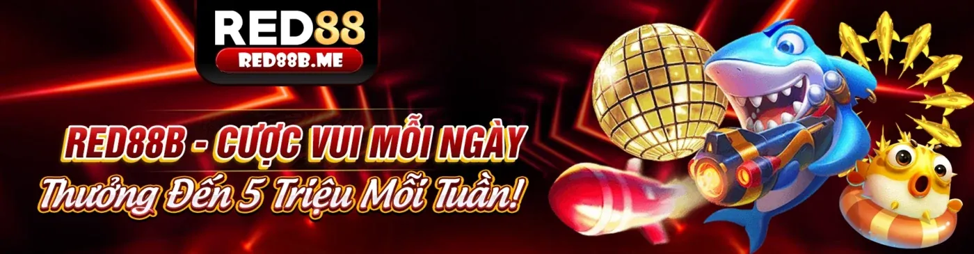 Hình ảnh chính của blog Saobet