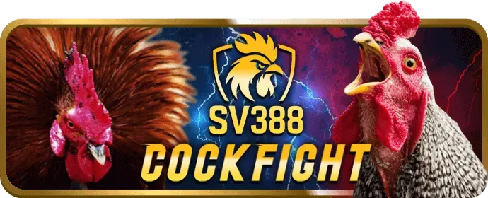 VIP Bạch Kim Saobet